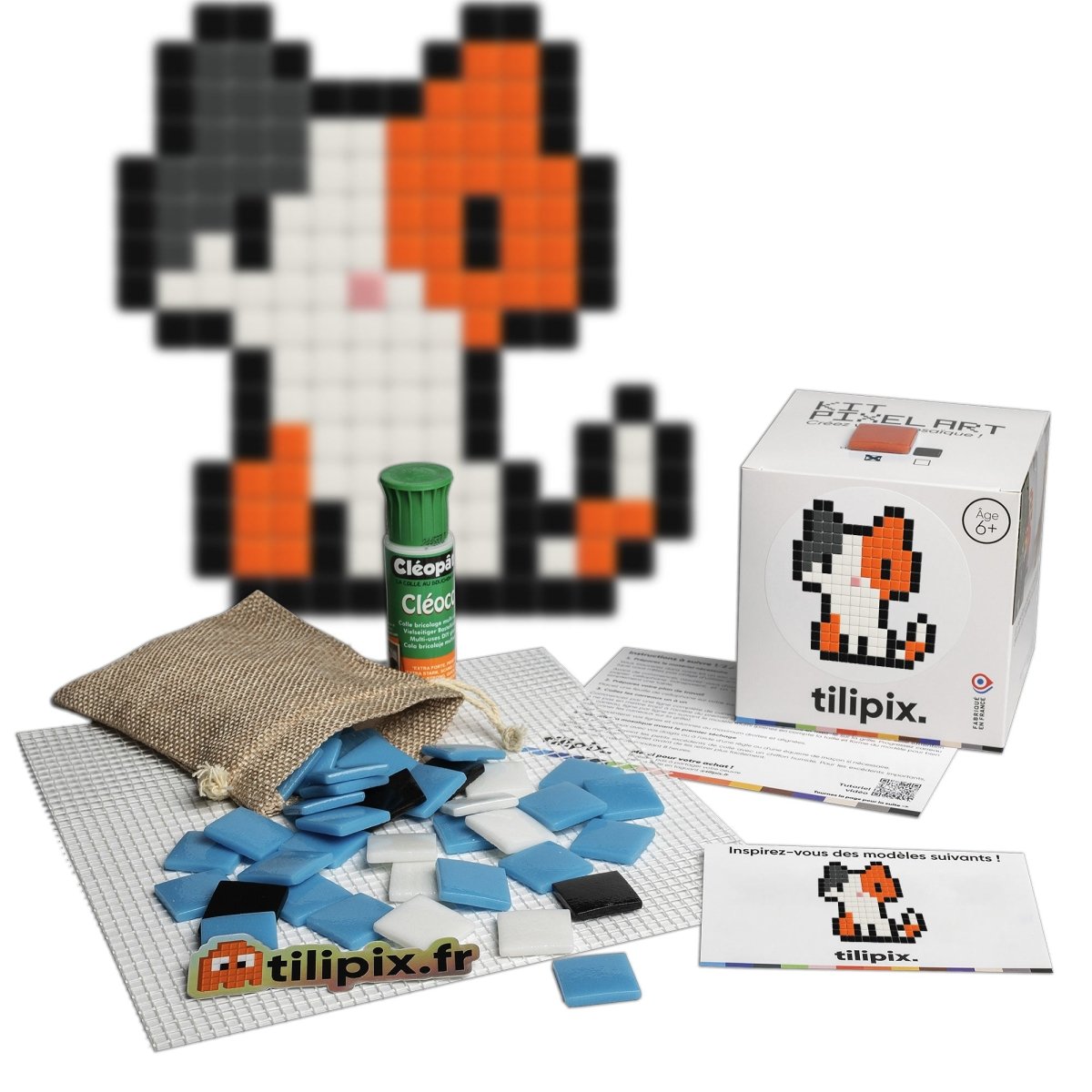 Chaton - Tilipix