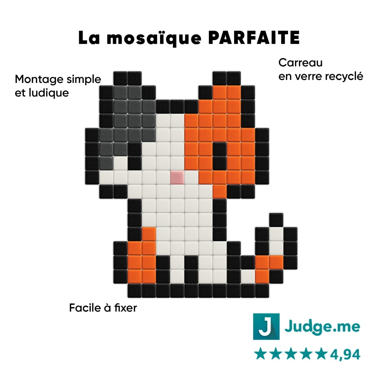 Chaton - Tilipix