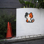 Chaton - Tilipix