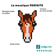 Cheval - Tilipix