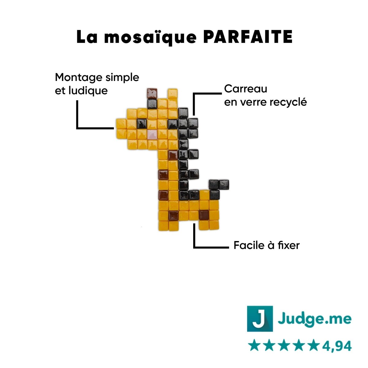 Kit mosaïque "Georges la girafe" - Tilipix