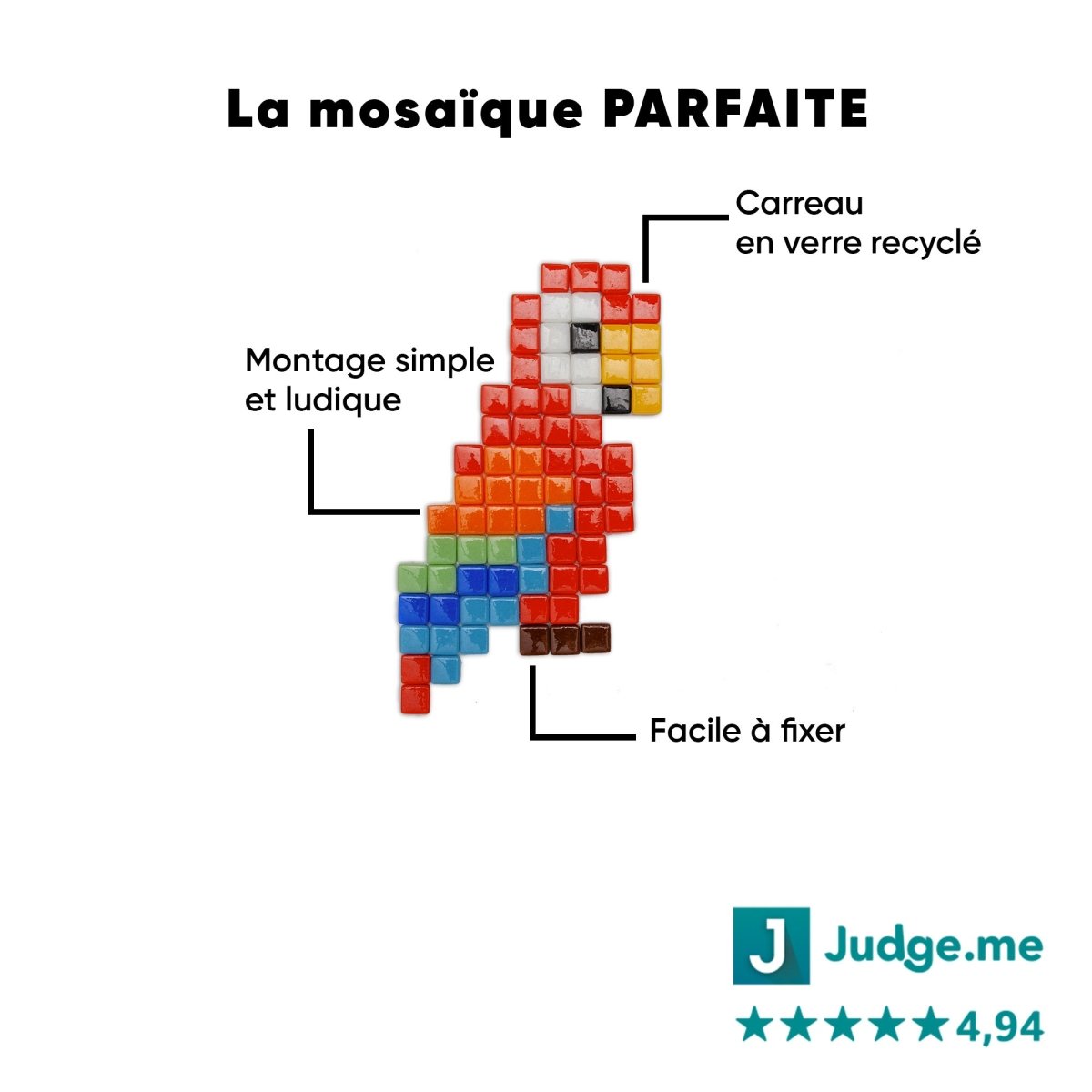 Kit mosaïque "Paloma le Perroquet" - Tilipix