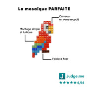 Kit mosaïque "Paloma le Perroquet" - Tilipix