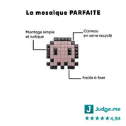 Kit mosaïque "Pierre la pieuvre" - Tilipix