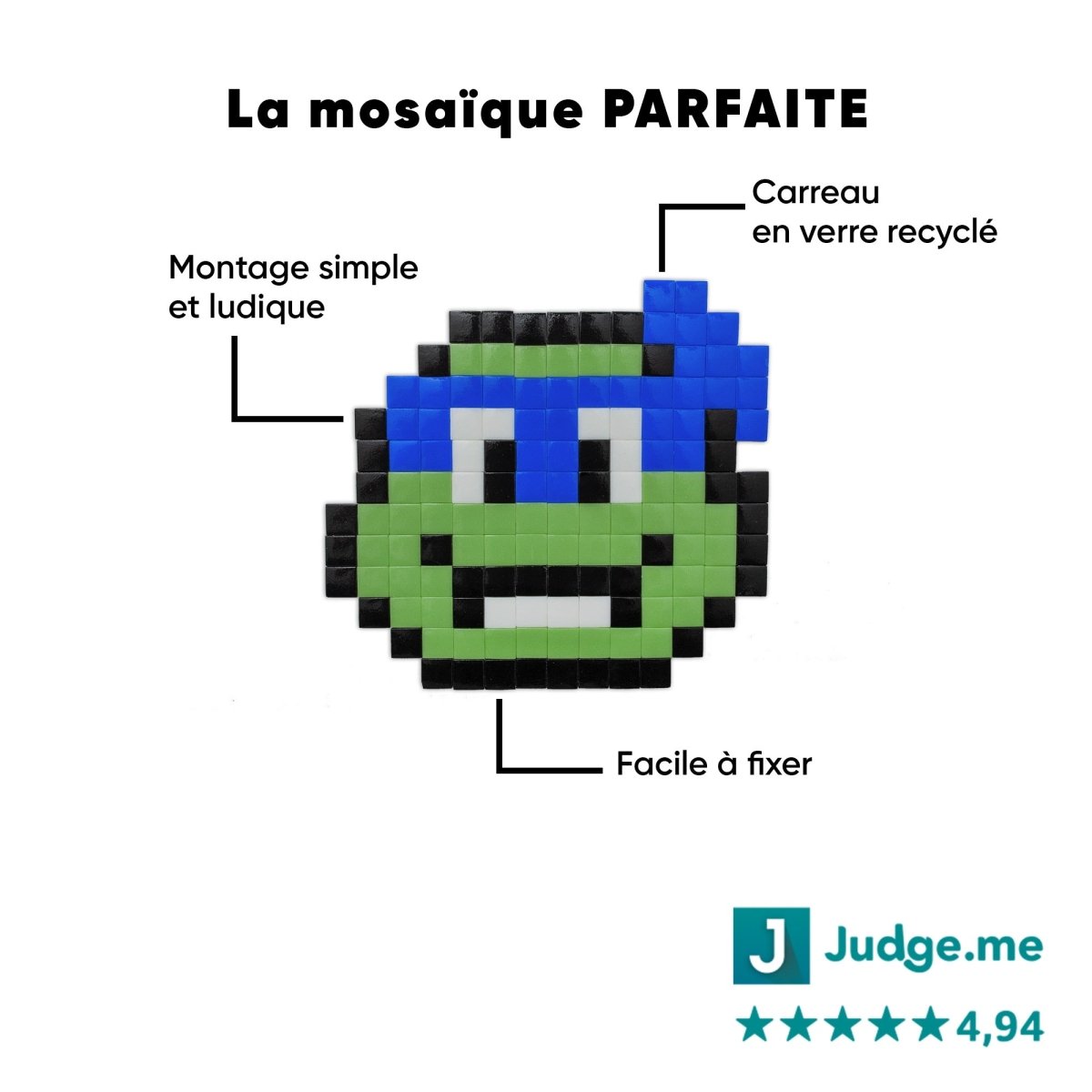 Kit mosaïque "Tortue d'égout" - Tilipix