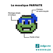 Kit mosaïque "Tortue d'égout" - Tilipix