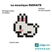 Lapin - Tilipix