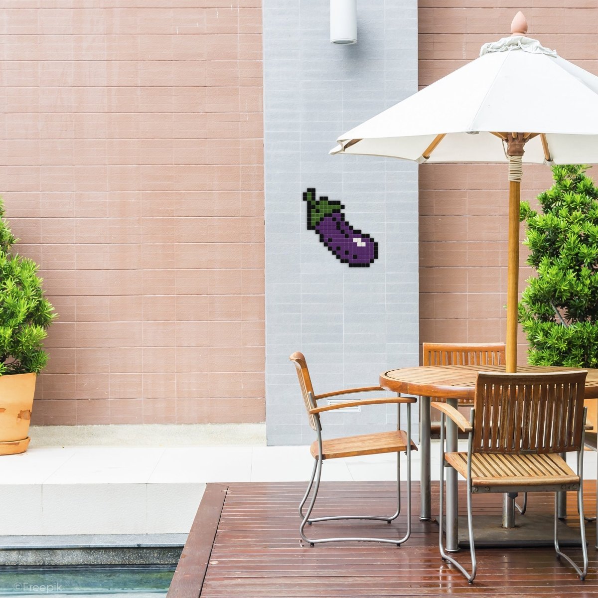 Aubergine coquine - Tilipix