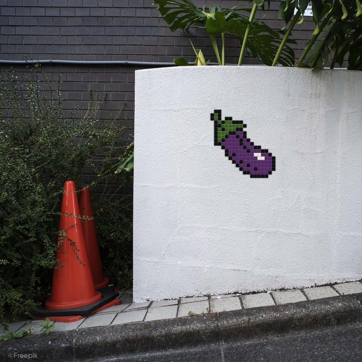 Aubergine coquine - Tilipix