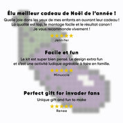 Aubergine coquine - Tilipix