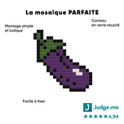 Aubergine coquine - Tilipix