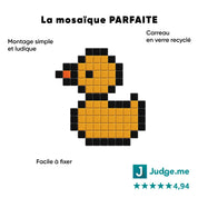 Canard - Tilipix