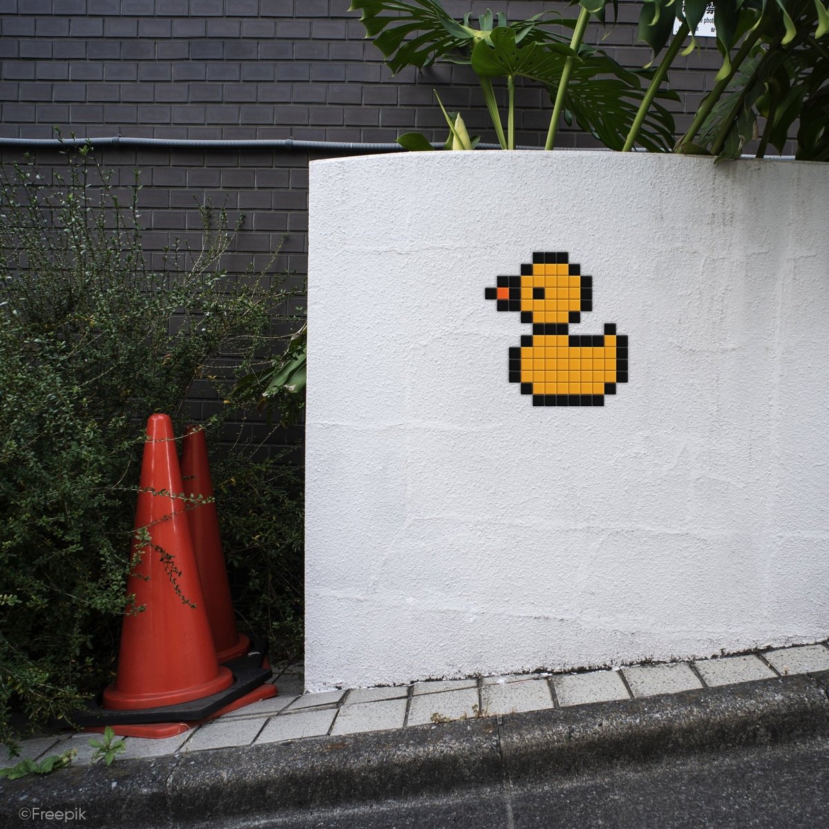 Canard - Tilipix