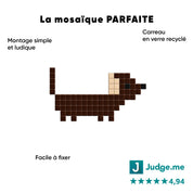 Chien saucisse - Tilipix