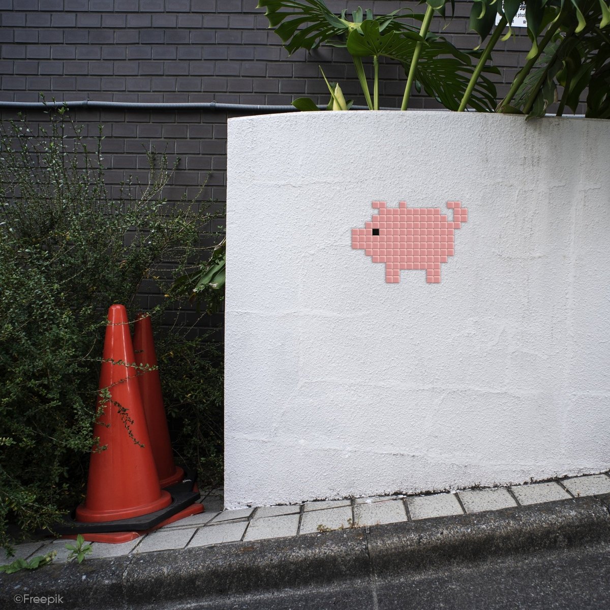 Cochon - Tilipix