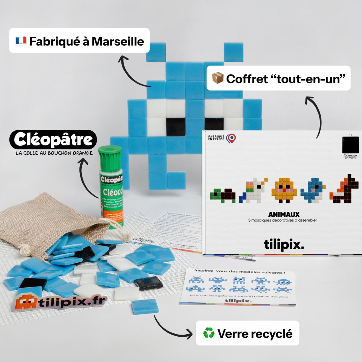 Coffret Animaux - Tilipix