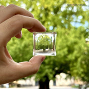 Pixlens x Monoli - Tilipix